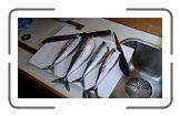 12 zelf gevangen makreel * 1152 x 648 * (344KB)